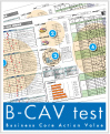 適性検査（B-CAV test)