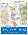 適性検査（B-CAV test）