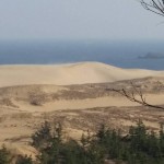 砂丘を一望。点に見えるのは人