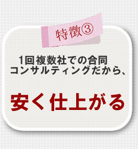 1回複数社での合同コンサルティングだから、「安く仕上がる」